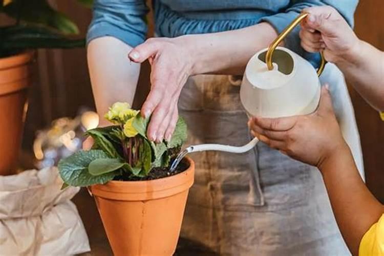 土壤酸化盐渍化原因详解!