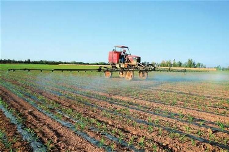 水果果醋如何做 怎么做水果果醋