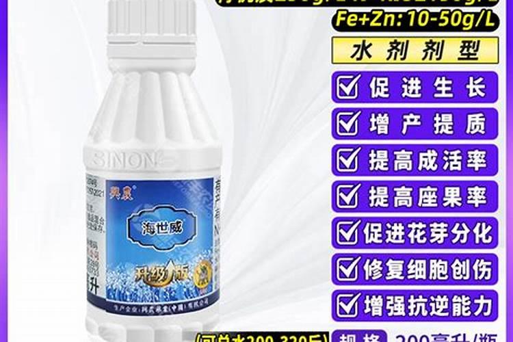 魔兽世界从来只有一个酋长——萨尔