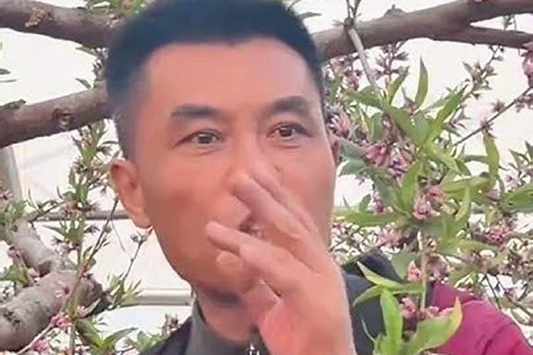 花果控释肥实际使用起来好吗