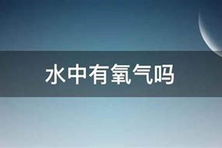 天竺葵浇什么水好