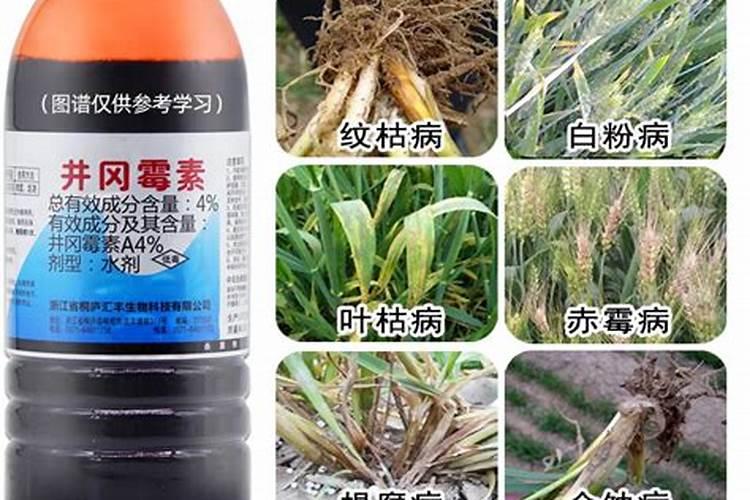 肥料施入土壤后多久能见效(肥料放在土里有效期是多久)