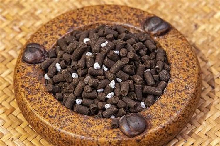 追肥来改善果实的品质,有哪些有机肥料最合适？