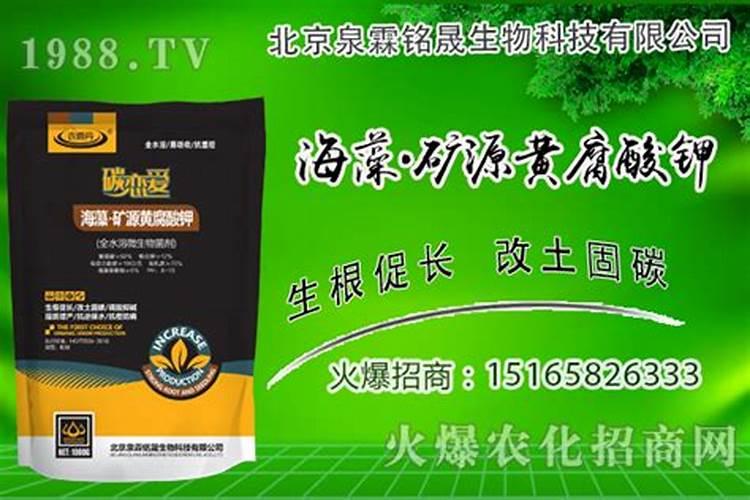 花卉需要哪些肥料