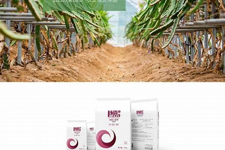 84消毒液能治稻田水绵吗？