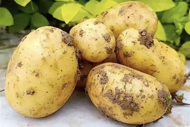 腐植酸是干什么用的？多少钱一吨？