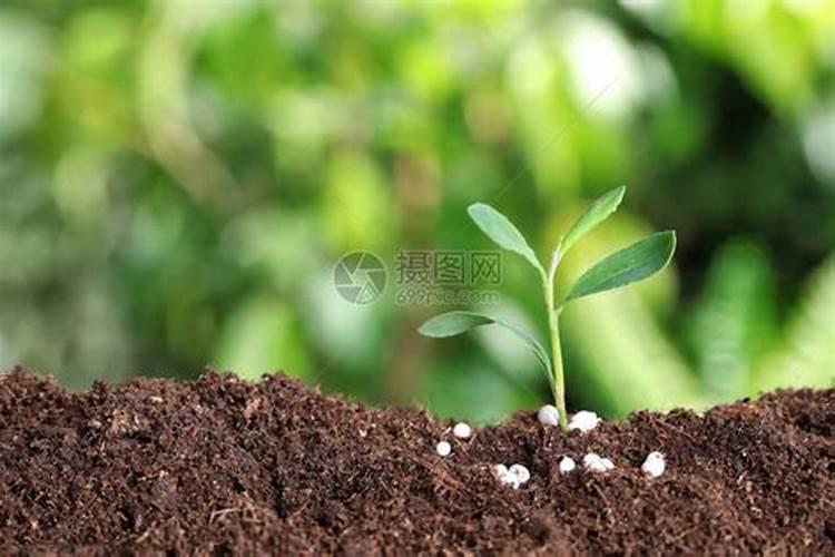 水溶肥有哪些类型,水溶肥的使用范围简介