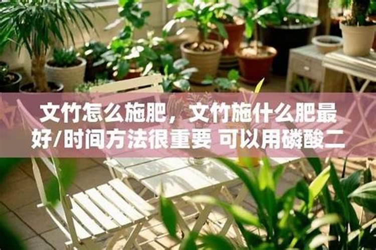 施肥可以用速效复合肥吗 文竹施什么肥料好