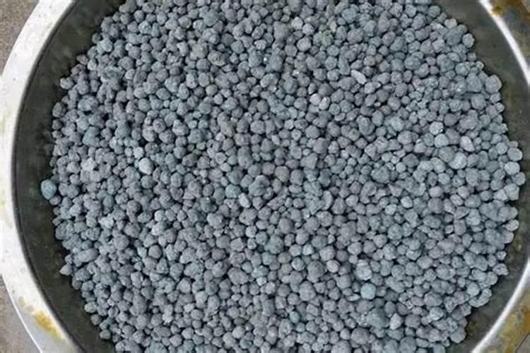 文竹施什么肥料好,施肥可以用速效复合肥吗