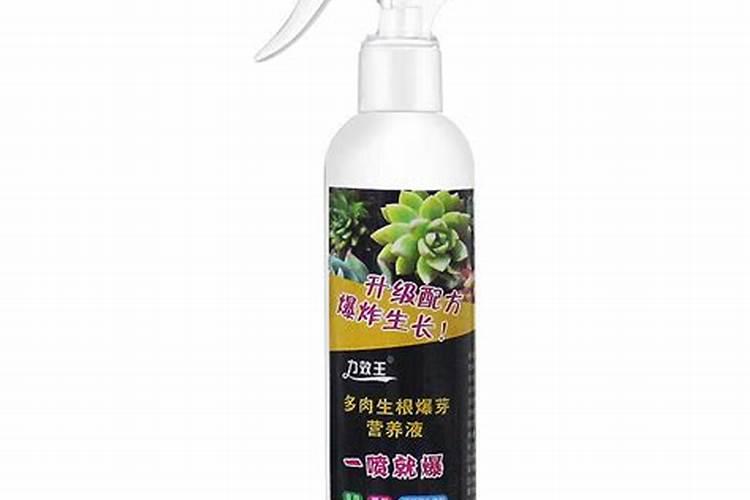 多肉叶片肥可以吧(多肉可以叶面施肥吗)