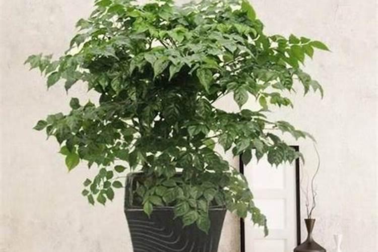 气温多少度适合浇水施肥