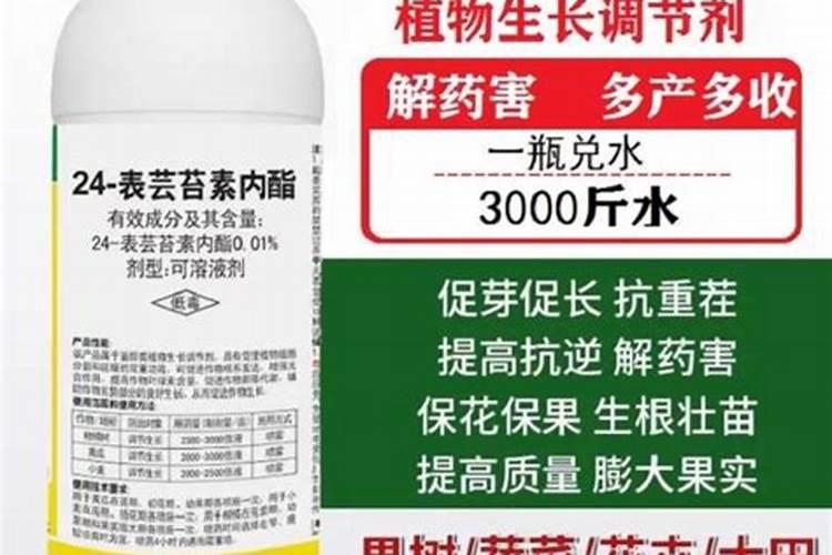芸苔素内酯实用功效
