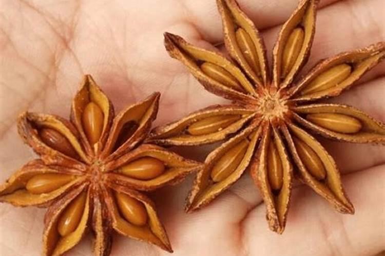 山药的营养成分