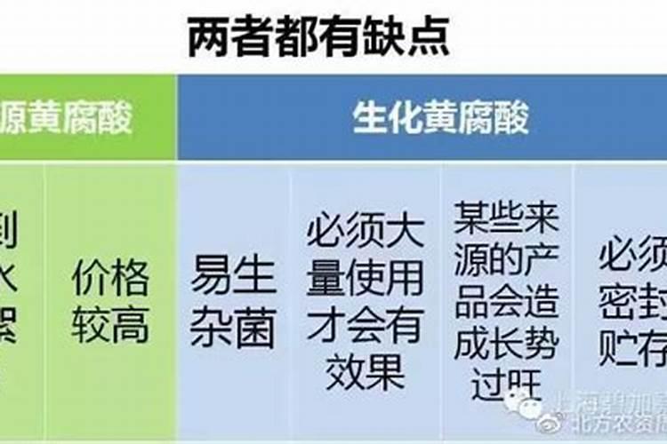 茉莉花什么时候开花,茉莉花一年可开三次花