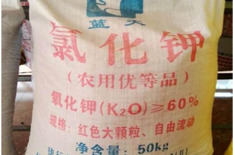 钾肥价格多少钱一吨 如何挑选优质的钾素肥料