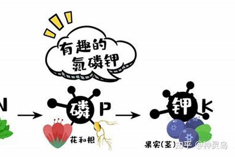 复合肥的正确使用方法