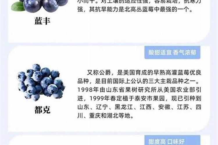 氮肥适合浇什么花