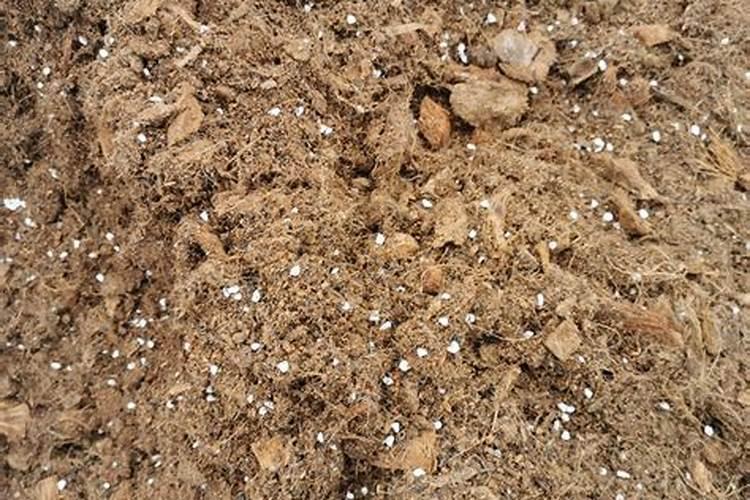 绣球花打花苞后,应该怎样正确施肥？
