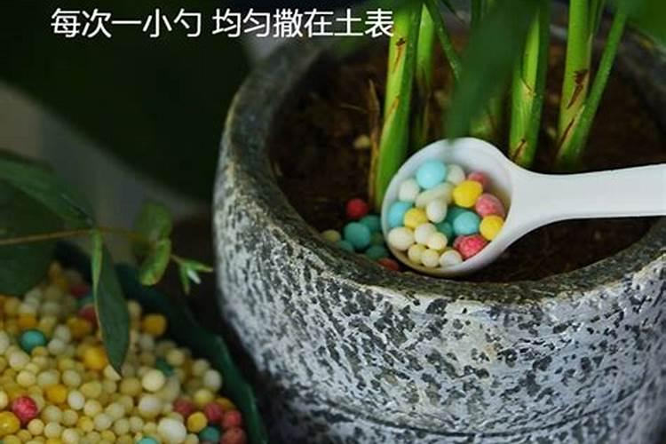 四季青草施什么化肥好