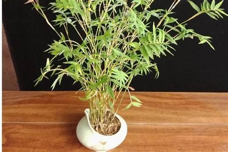 颗粒药物怎么服用方法 关于中药颗粒的正确服用方法