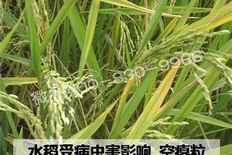 总投资约44.29亿!河南新乡最新审批通过的建设工程项目清单来了百度...