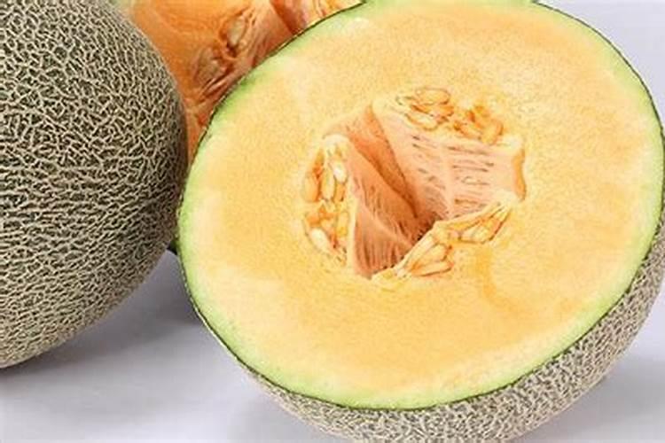 有机肥设备哪家好