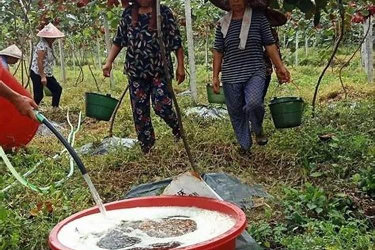 市面上有的硅肥怎么那么便宜呢是什么原因呢