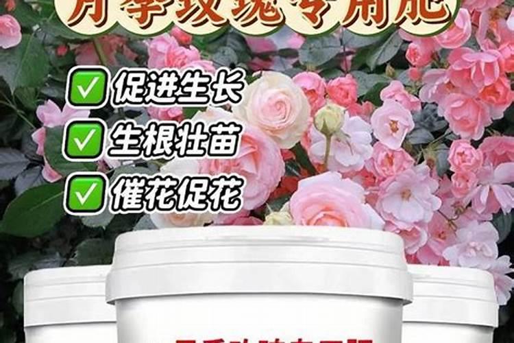 兰花控释肥能和别的肥混用吗