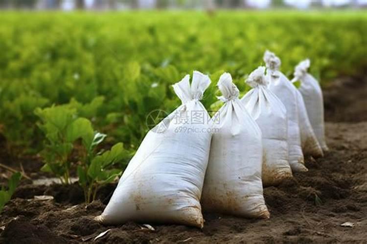 菜地肥用2种肥最好