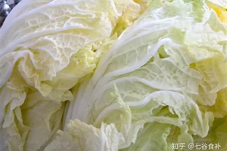 怎样让绿萝疯长