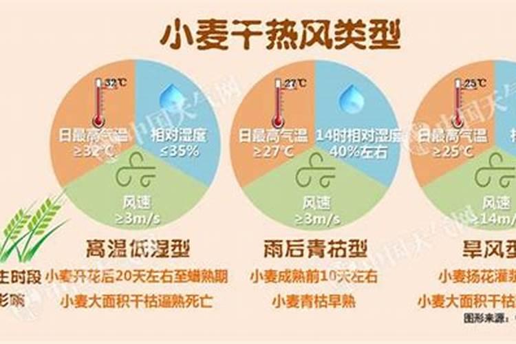 小麦干热风怎么防治