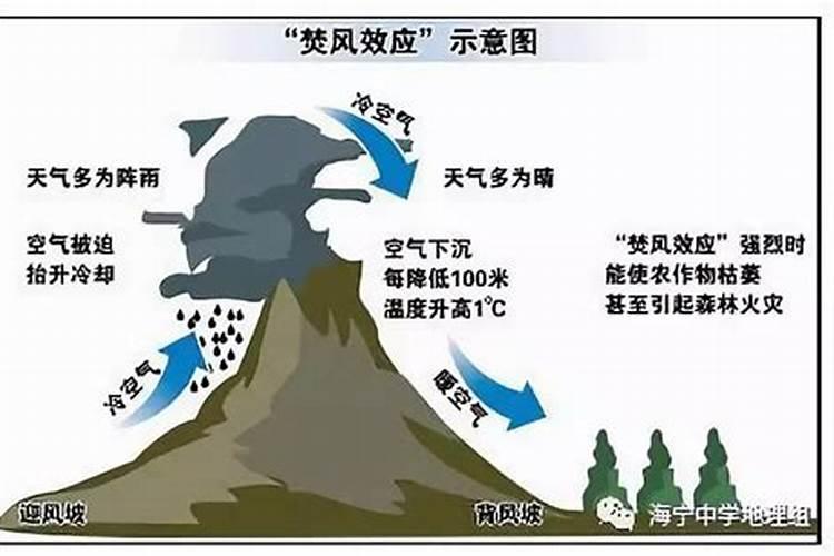 小麦干热风怎么防治