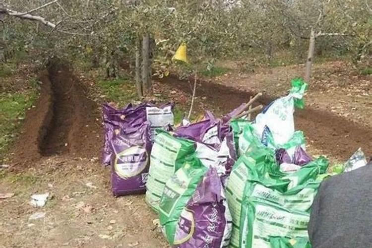 请问桃树可以施用氯化钾复合肥吗？