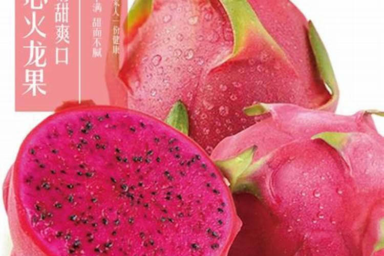 火龙果树怎么移栽？