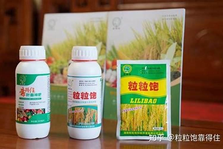 万寿菊出花苞花雷的时候可以喷施叶面肥吗