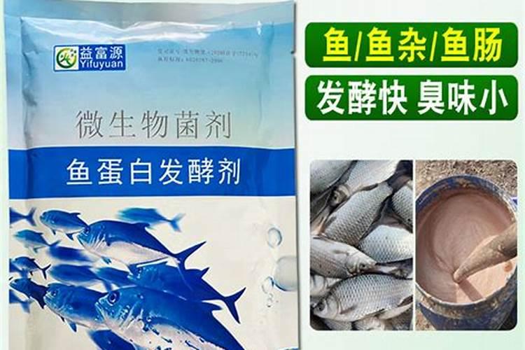 杜鹃花喜肥吗喜欢施什么肥料