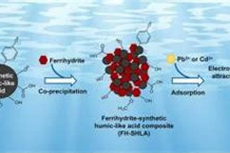 蒸馒头不二次发酵可以吗 做馒头加什么不用二次发酵
