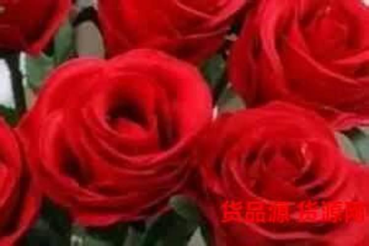 卖花的都用什么肥料  茶花用什么肥料最好