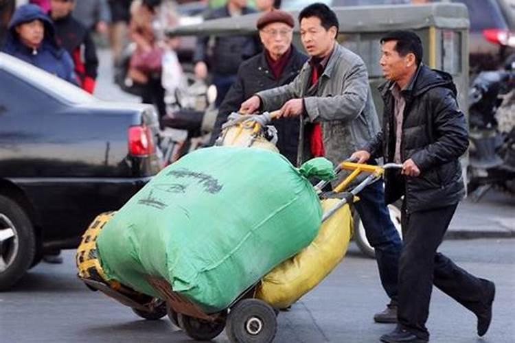 大连 哪里有卖养花的土