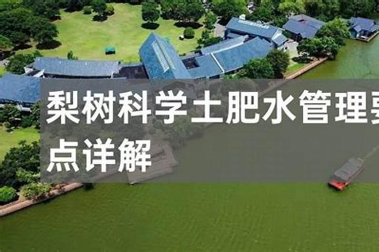 请问各位专家,梨树叶子成这样子
