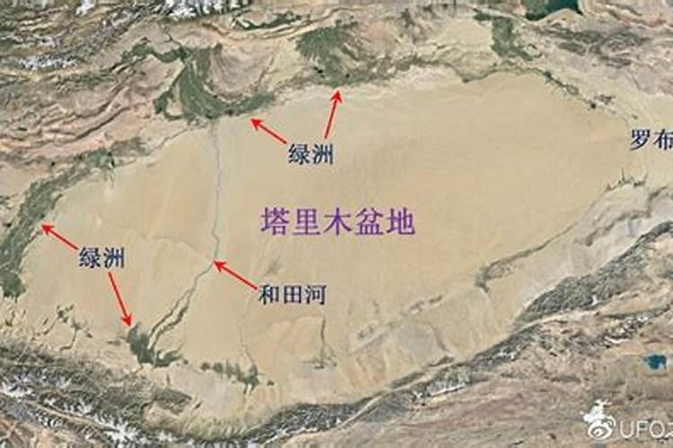 果树用什么肥料最好