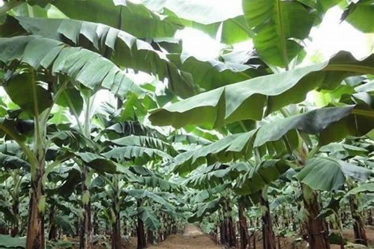 化肥从袋子的哪里看真假 检测找哪个部门