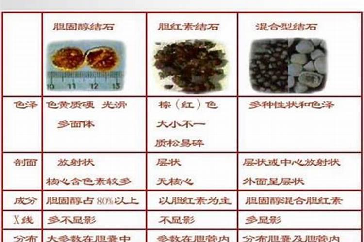 兰花的怎么养