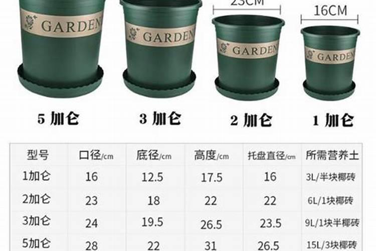 以色列最好的水溶肥是哪家