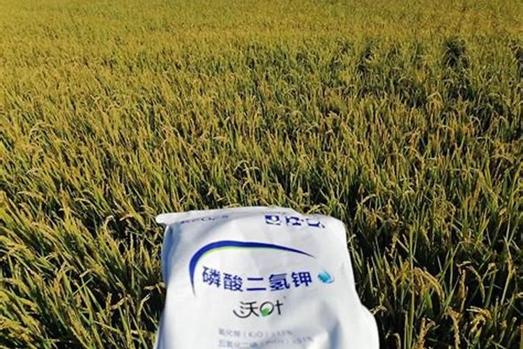 农民朋友怎么才通过简便方法辨别真假化肥？
