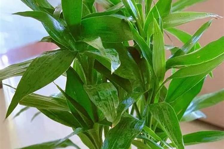 暑伏有什么忌讳