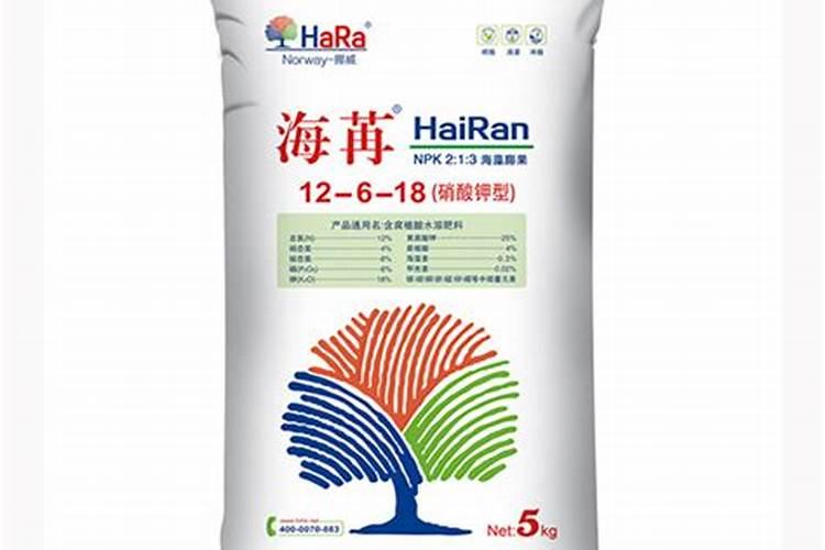 求世界各国标志性建筑的简笔画