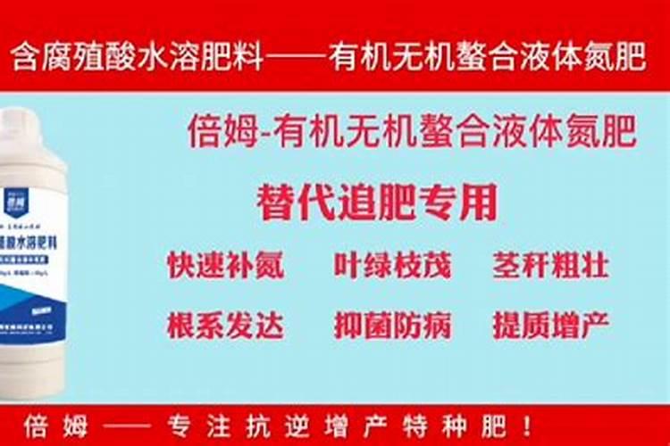 海鸥和鸽子都是飞行动物,为什么海鸥会捕食鸽子？