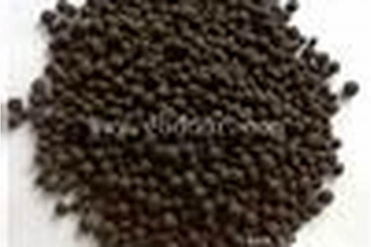 果苗施什么肥长得快