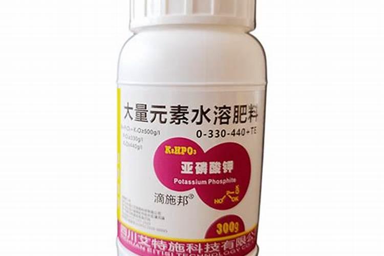 樱桃树用什么叶面肥